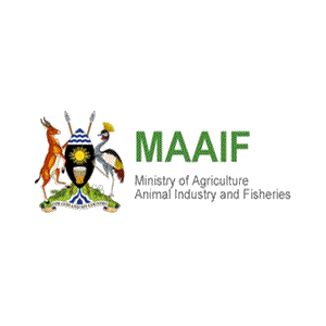 MAAIF | Ministry of Agriculture, Animal Industry and Fisheries