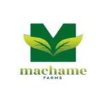 Machame