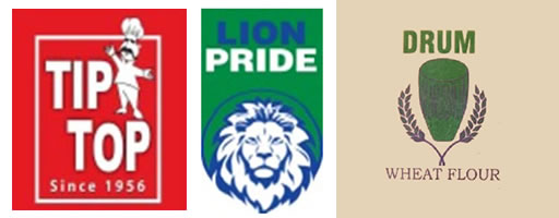 TipTop Drum and Lion Pride