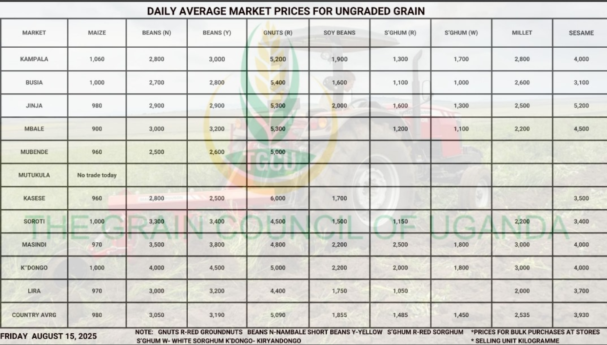 Daily Average Grain Prices Friday August 15, 2025