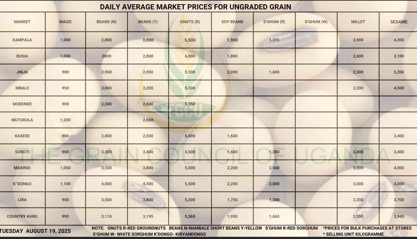 Daily Average Grain Prices Tuesday August 19, 2025